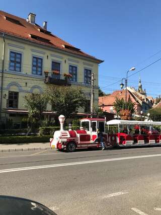 Гостевой дом Pensiunea Gasthaus Alte Post Сигишоара-1